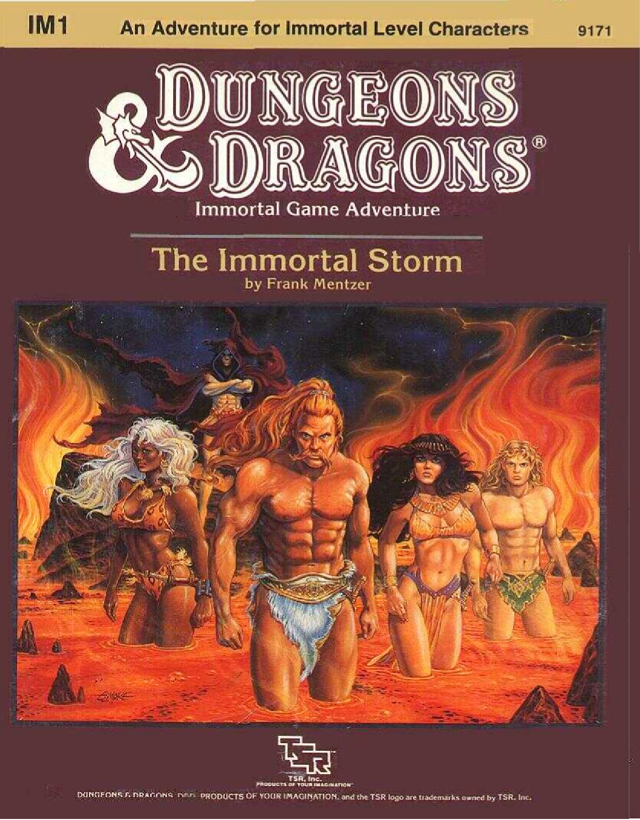 TSR 09171 IM1 The Immortal Storm